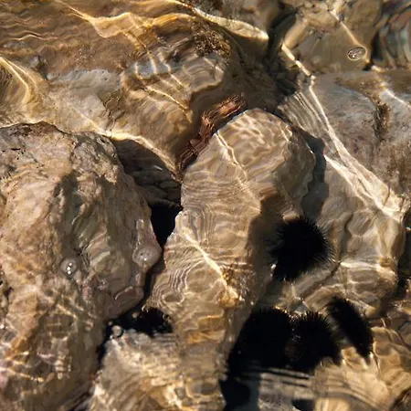 מלון דירות Faros 4*