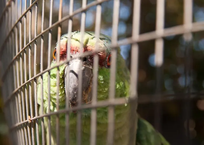 아파트호텔 Faros Livadia (Tilos)