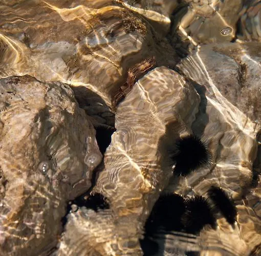 아파트호텔 Faros 4*